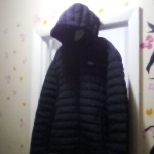 Lacoste lightweight Puff Coat Mens